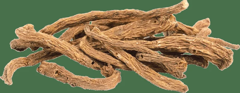 Angelica Gigas for circulation and emotional health