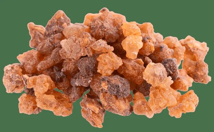 Myrrh and Solomon's Seal gut remedy