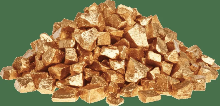 Ormus Gold and Angelica Gigas gut remedy